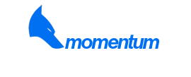 Momentum